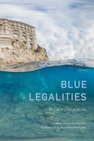 Kniha Blue Legalities Irus Braverman