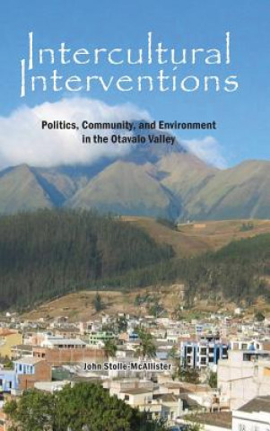Knjiga Intercultural Interventions John Stolle-McAllister