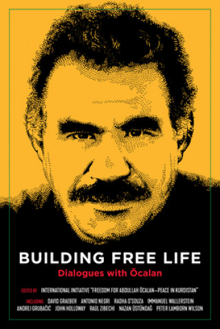 Kniha Building Free Life Radha D'Souza
