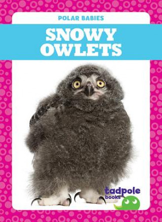 Kniha Snowy Owlets Genevieve Nilsen