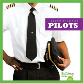 Knjiga Pilots Erika S. Manley