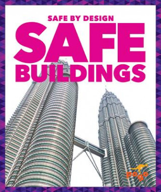 Kniha Safe Buildings Kaitlyn Duling