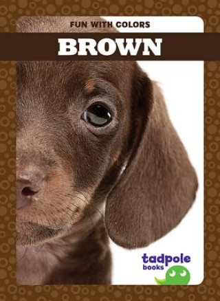 Knjiga Brown Anna C. Peterson