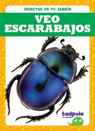 Kniha Veo Escarabajos (I See Beetles) Genevieve Nilsen