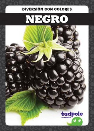 Knjiga Negro (Black) Anna C. Peterson