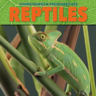 Carte Reptiles Grace Jones