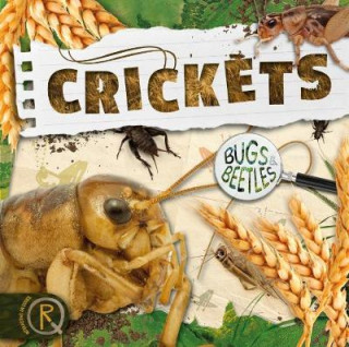Carte Crickets John Wood