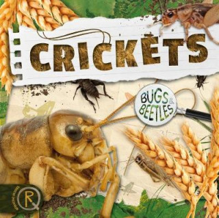 Libro Crickets John Wood