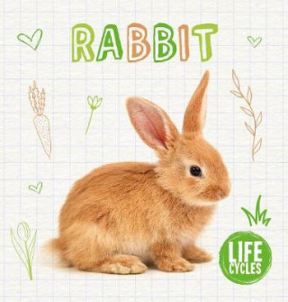 Knjiga Rabbit Shalini Vallepur