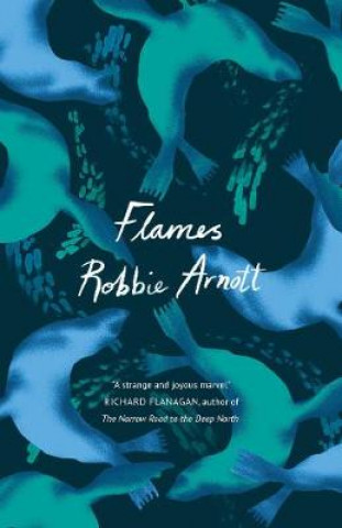 Book Flames Robbie Arnott