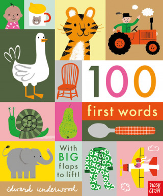 Könyv 100 First Words Edward Underwood