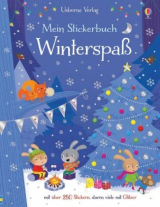 Könyv Mein Stickerbuch: Winterspaß Fiona Watt