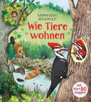 Libro Naturwissen aufgedeckt! Wie Tiere wohnen Emily Bone