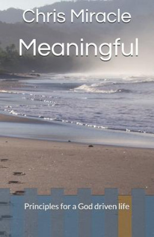 Knjiga Meaningful: Principles for a God Driven Life Christopher Miracle