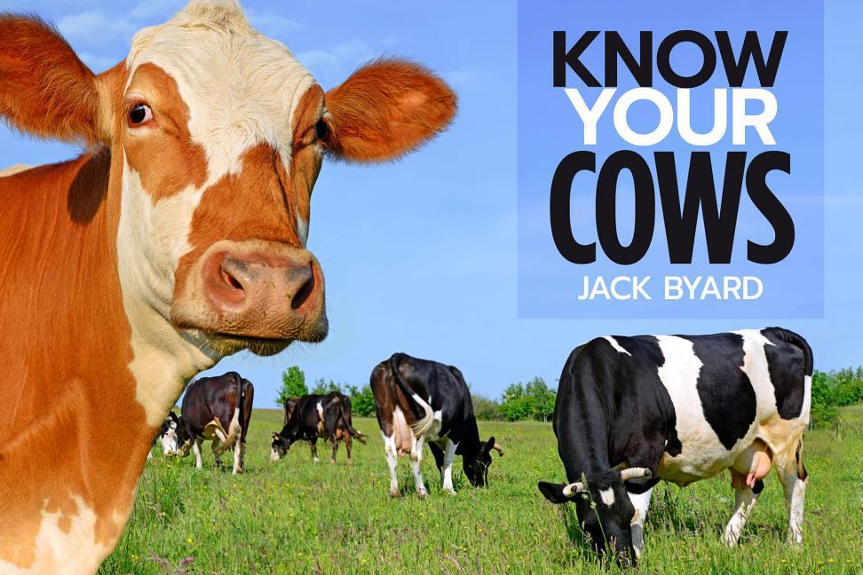 Kniha Know Your Cows Jack Byard