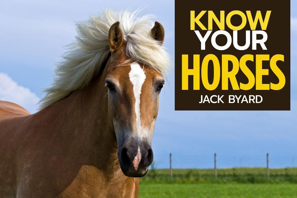 Kniha Know Your Horses Jack Byard