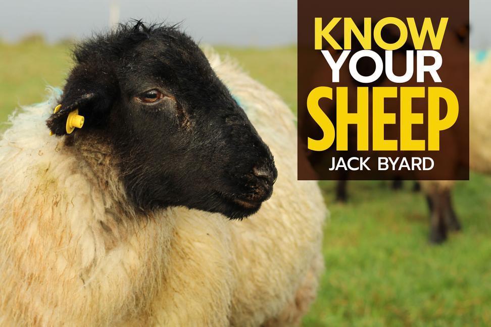 Carte Know Your Sheep Jack Byard