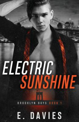 Kniha Electric Sunshine E Davies