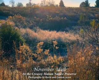 Knjiga November Idyll Karin Acree