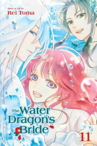 Knjiga Water Dragon's Bride, Vol. 11 Rei Toma