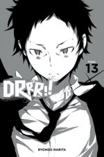 Könyv Durarara!!, Vol. 13 (light novel) Ryohgo Narita