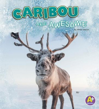 Kniha Caribou Are Awesome Jaclyn Jaycox