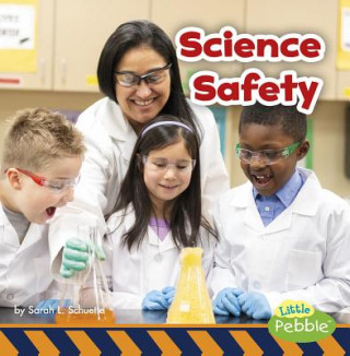Knjiga Science Safety Sarah L. Schuette