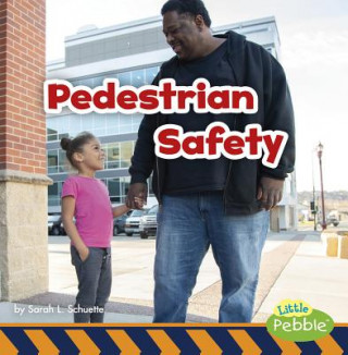 Knjiga Pedestrian Safety Sarah L. Schuette