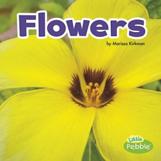 Boek Flowers Marissa Kirkman
