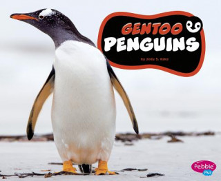 Knjiga Gentoo Penguins Jody S. Rake