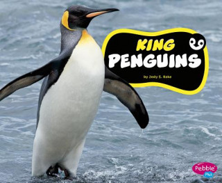 Книга King Penguins Jody S. Rake