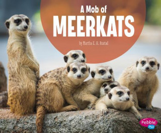 Kniha A Mob of Meerkats Martha Elizabeth Hillman Rustad