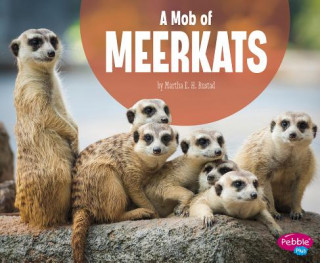 Книга A Mob of Meerkats Martha Elizabeth Hillman Rustad