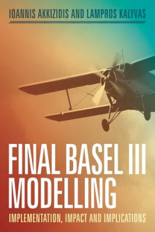 Kniha Final Basel III Modelling Ioannis Akkizidis