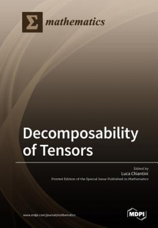 Könyv Decomposability of Tensors 