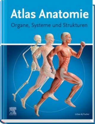 Könyv Atlas Anatomie 