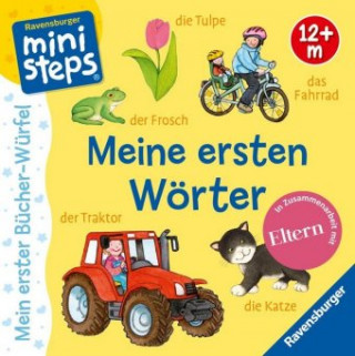 Book ministeps: Mein erster Bücher-Würfel: Meine ersten Wörter (Bücher-Set) Ina Milk