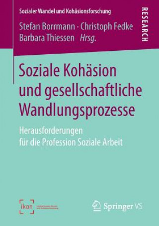 Könyv Soziale Koh sion Und Gesellschaftliche Wandlungsprozesse Stefan Borrmann