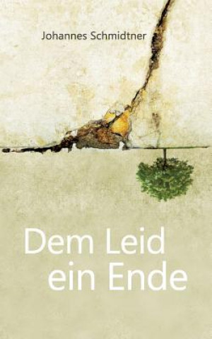 Knjiga Dem Leid ein Ende Johannes Schmidtner