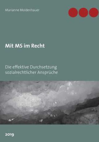 Kniha Mit MS im Recht MARIANN MOLDENHAUER