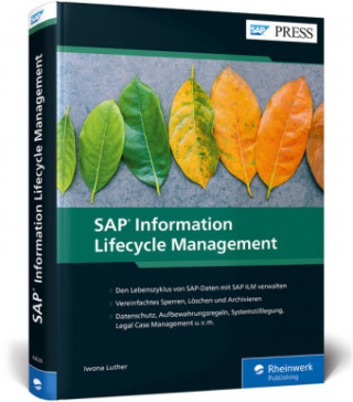 Kniha SAP Information Lifecycle Management Iwona Luther