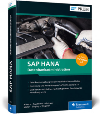 Kniha SAP HANA - Datenbankadministration Bert Braasch