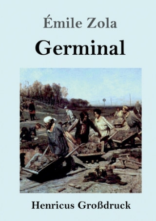 Kniha Germinal (Grossdruck) Émile Zola