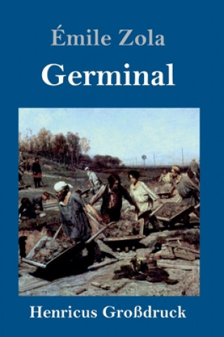 Kniha Germinal (Grossdruck) Émile Zola