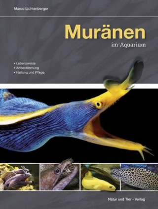 Kniha Muränen im Aquarium Marco Lichtenberger