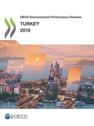 Buch Turkey 2019 Organisation for Economic Co-operation and Development