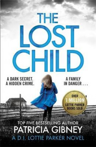 Kniha Lost Child Patricia Gibney