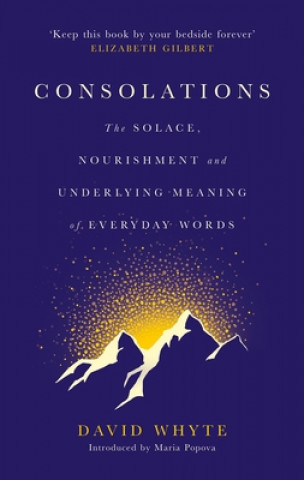 Kniha Consolations David Whyte