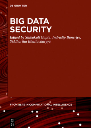 Knjiga Big Data Security Shibakali Gupta