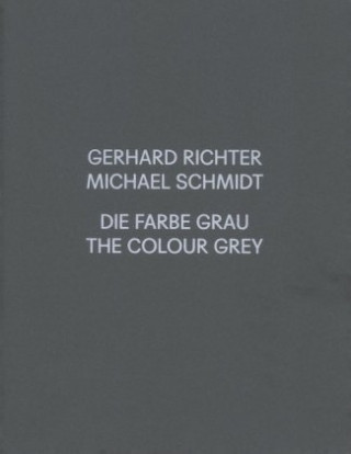 Kniha Gerhard Richter / Michael Schmidt Thomas Zander